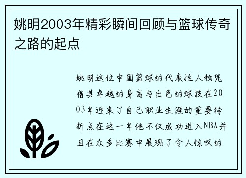 姚明2003年精彩瞬间回顾与篮球传奇之路的起点